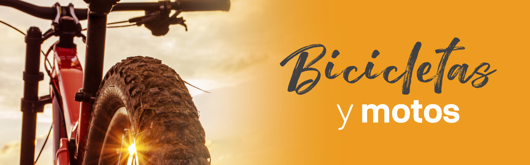 Bicicletas